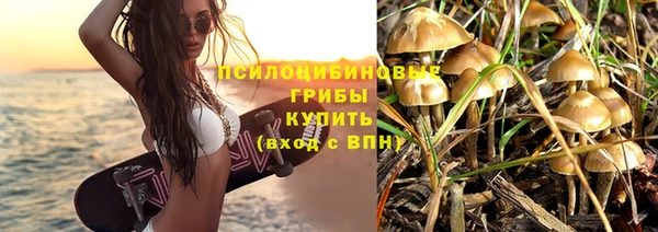 бошки Абдулино